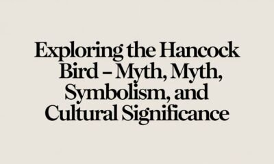 Exploring the Hancock Bird – Myth, Symbolism, and Cultural Significance