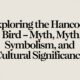 Exploring the Hancock Bird – Myth, Symbolism, and Cultural Significance