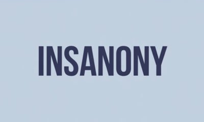 Understanding Insanony and Its Impact on Digital Culture